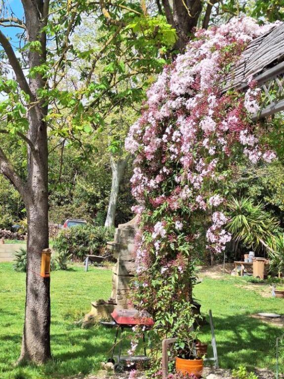 Domaine De Capoulade Bed and Breakfast Narbonne Buitenkant foto
